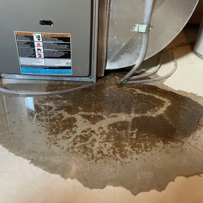 Appliance Leak Cleanup in Evansville, WI